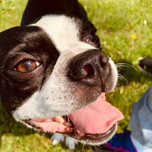 Meet your Posher, Ashley